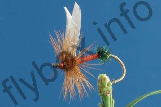 English Red Ant Fly Fishing Flies With Fish4flies Worldwide